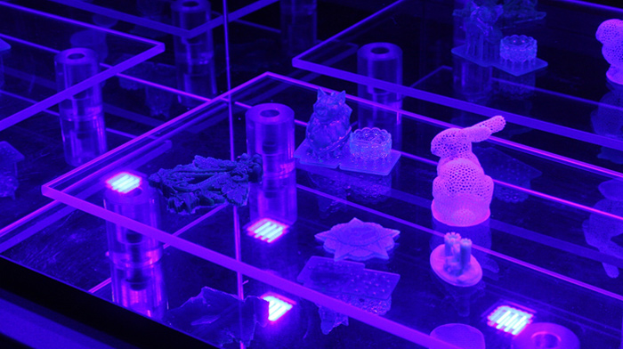 Обзор УФ-камеры Wanhao Boxman-1