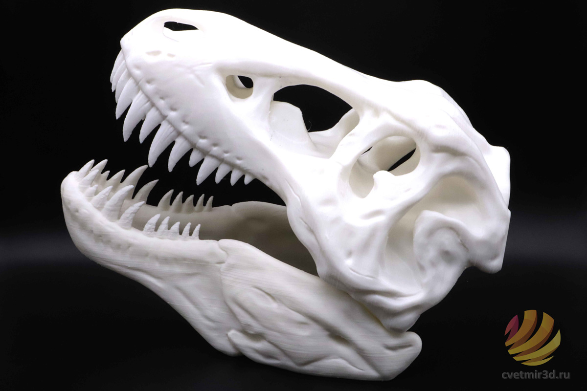 wanhao_d12 300_43.jpg wanhao_d12 300_43.jpg