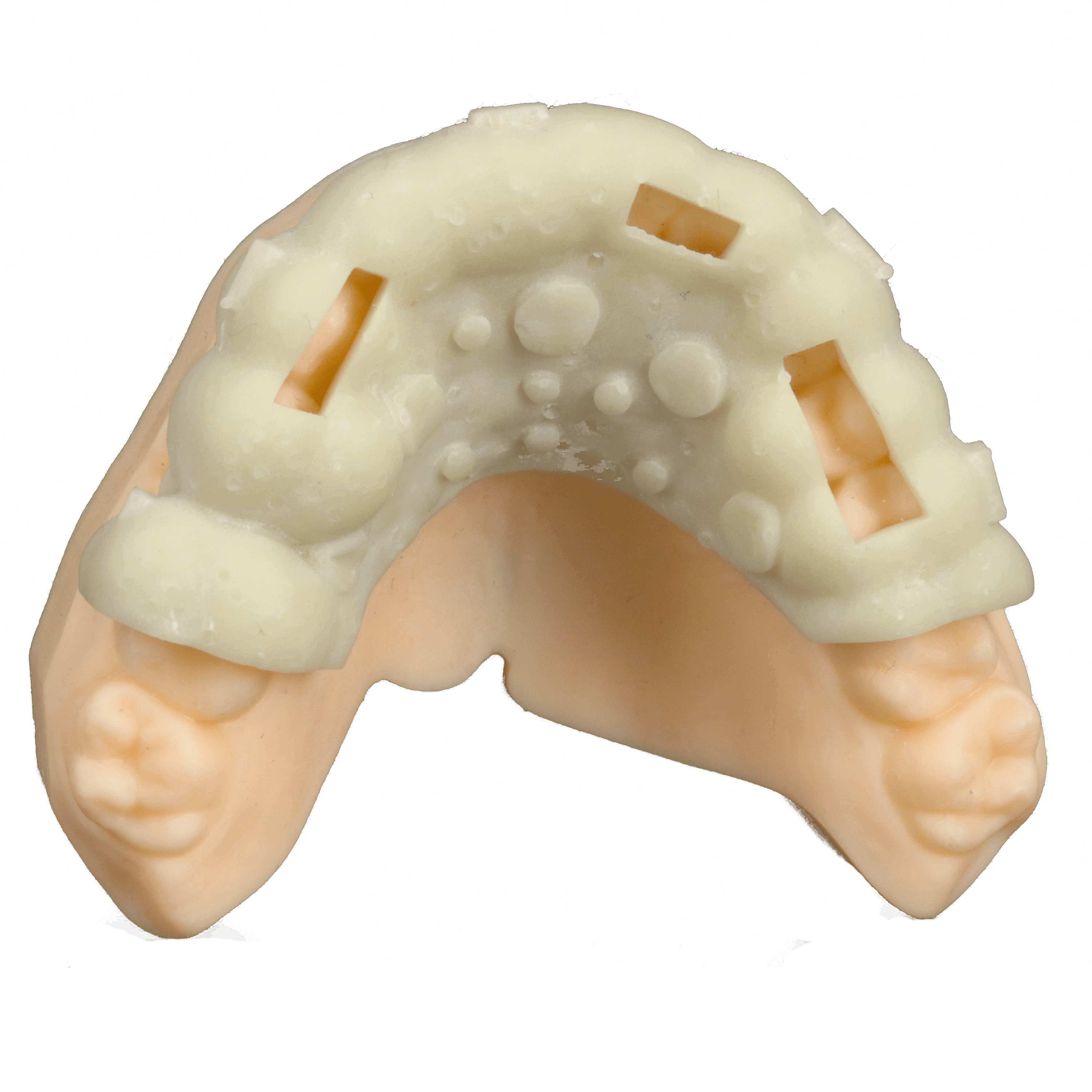 Модель из Harz Labs Dental Ro Модель из Harz Labs Dental Ro