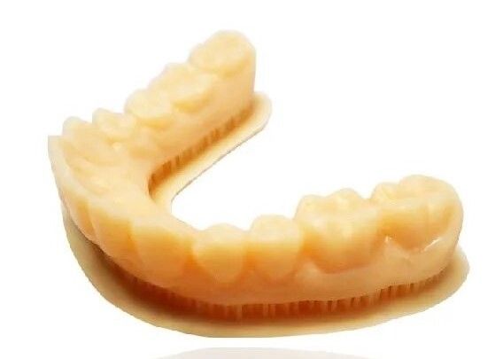 Челюсть