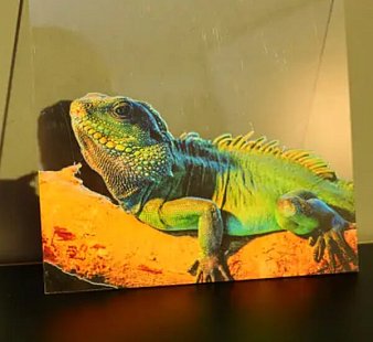 3Д принтер LONGER ePrint SE